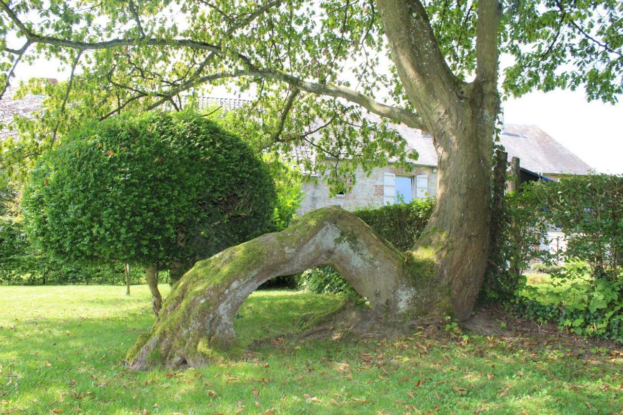 Gite De L'Ehm Villa Custinne Bagian luar foto