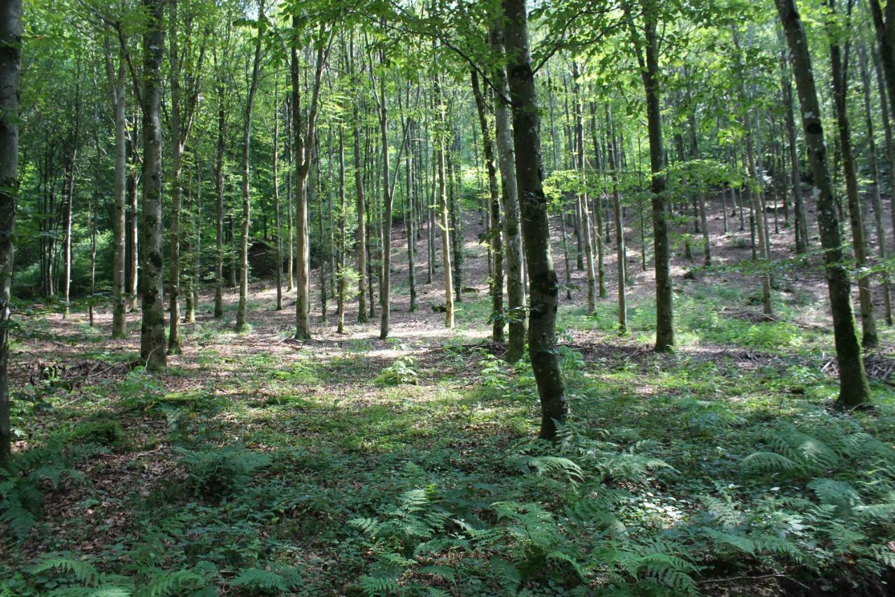Gite De L'Ehm Villa Custinne Bagian luar foto